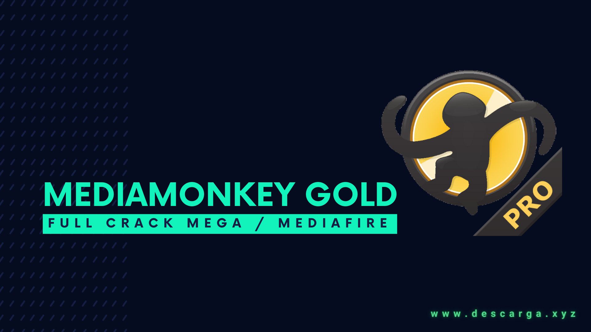 MediaMonkey Gold Full Crack v2024.1.0.3113 Descarga gratis en Español por MEGA 2025 - Gran reproductor de medios MediaMonkey Gold Full Crack Descargar Gratis por Mega